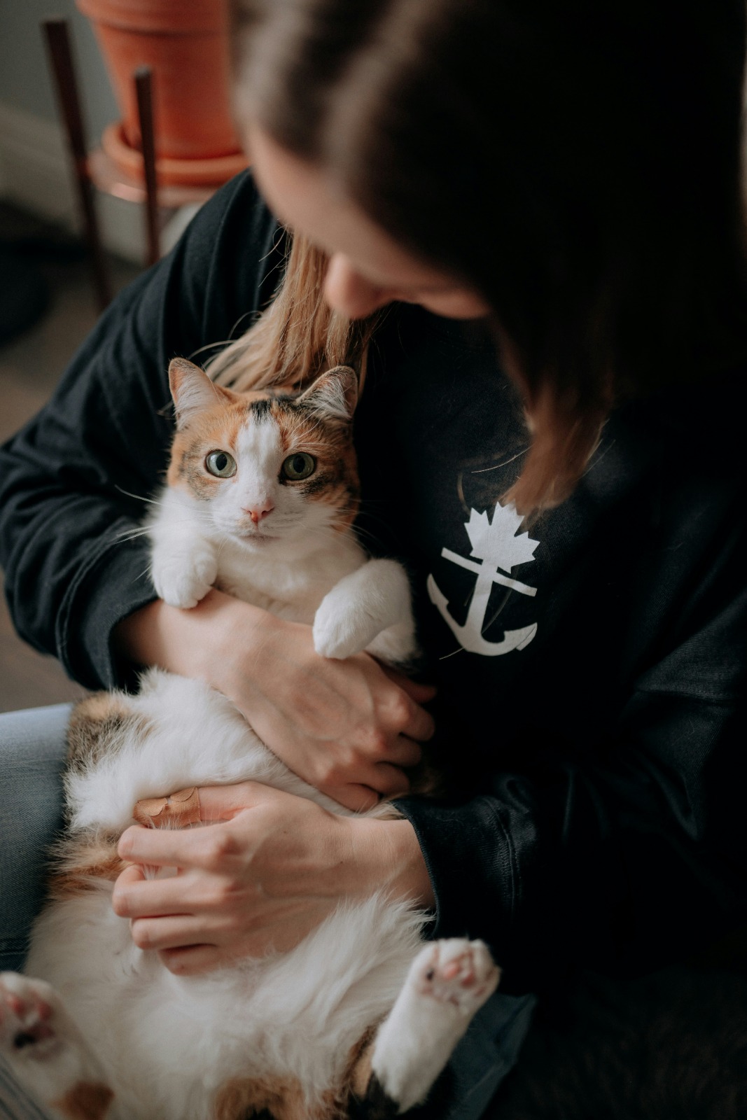 Summer Travel Plans? Here's What Your Pet Really Needs