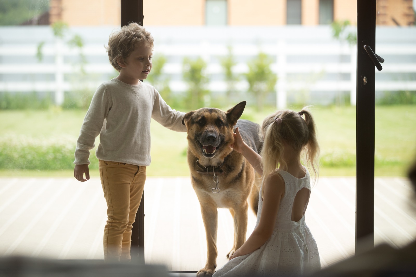 Back-to-School Season: Helping Pets Adjust When Kids Aren’t Home