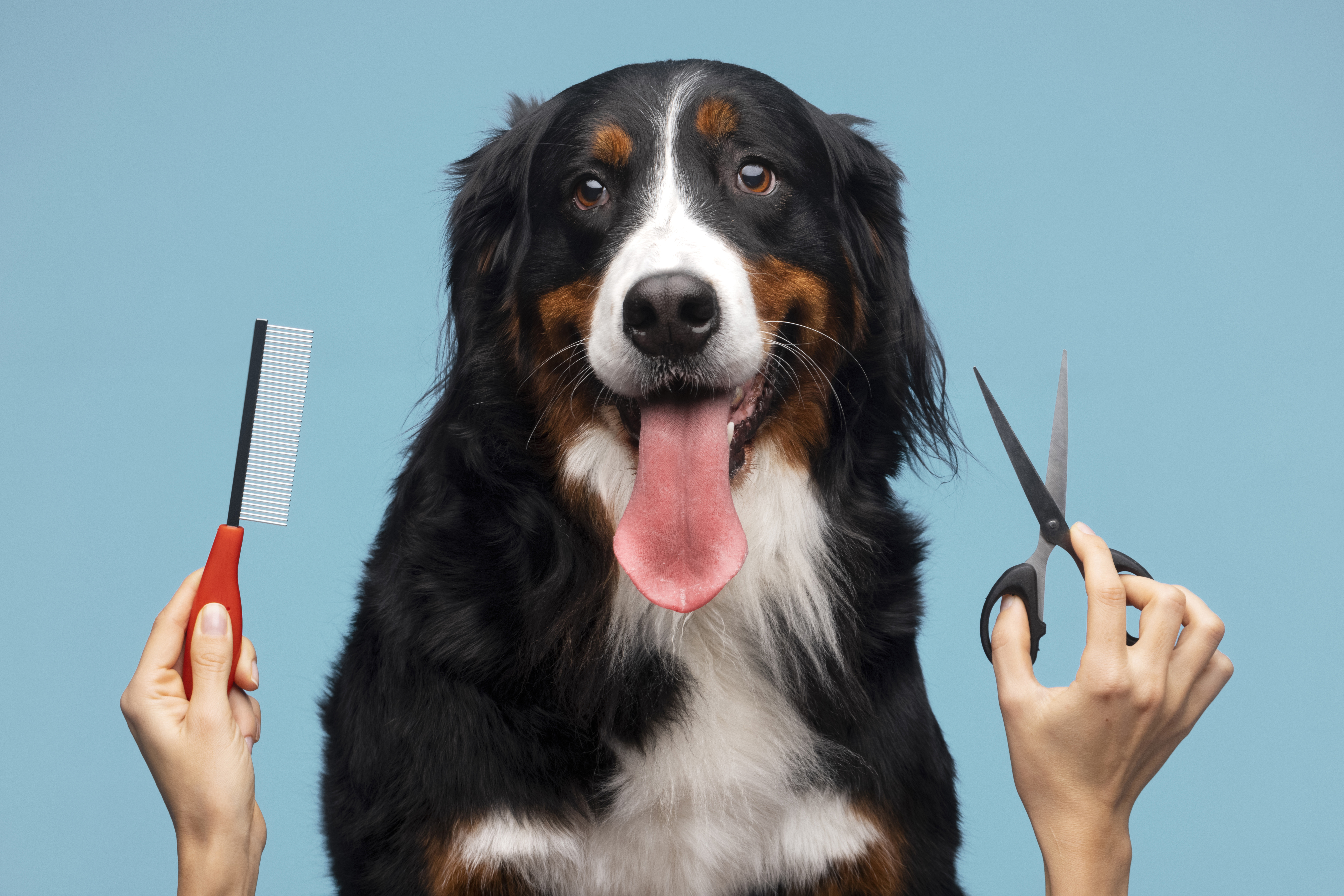 Why Grooming Is Essential for Your Pet’s Health and Happiness